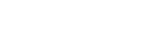 Turtle Beach Logo